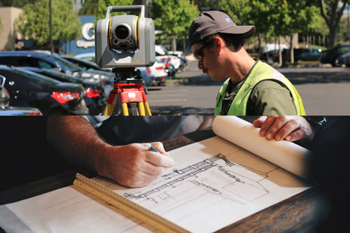 survey guy